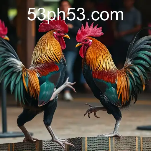 The Cultural and Controversial World of Cockfighting: An In-depth Look